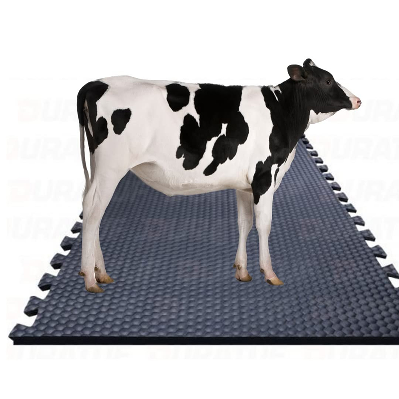 Innovative Rubber Cow Mats: Transforming Cattle Husbandry